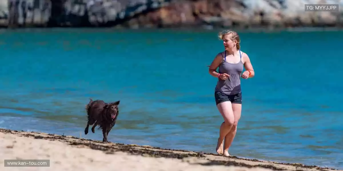 球迷专属,把热爱穿在身上!👕💪