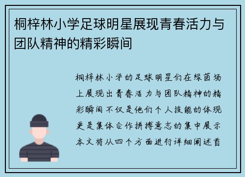 桐梓林小学足球明星展现青春活力与团队精神的精彩瞬间